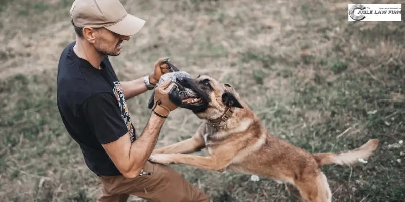 best dog bite attorney in st louis